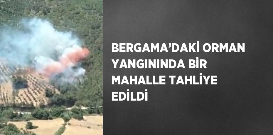 BERGAMA’DAKİ ORMAN YANGININDA BİR MAHALLE TAHLİYE EDİLDİ