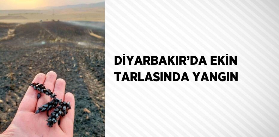 DİYARBAKIR’DA EKİN TARLASINDA YANGIN