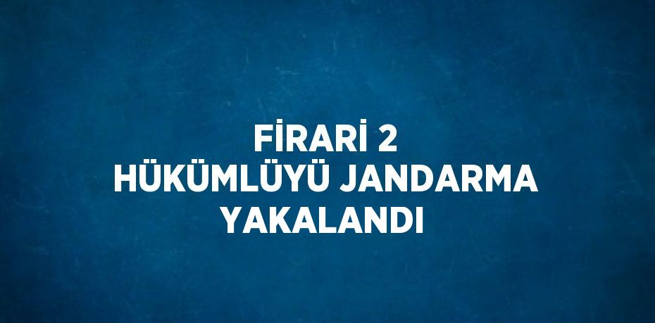 FİRARİ 2 HÜKÜMLÜYÜ JANDARMA YAKALANDI