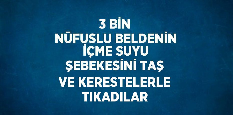 3 BİN NÜFUSLU BELDENİN İÇME SUYU ŞEBEKESİNİ TAŞ VE KERESTELERLE TIKADILAR