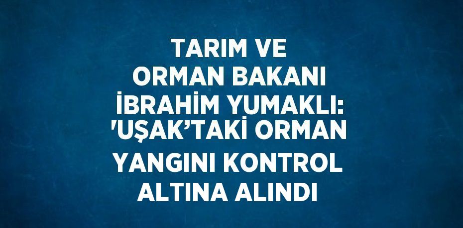 TARIM VE ORMAN BAKANI İBRAHİM YUMAKLI: 'UŞAK’TAKİ ORMAN YANGINI KONTROL ALTINA ALINDI