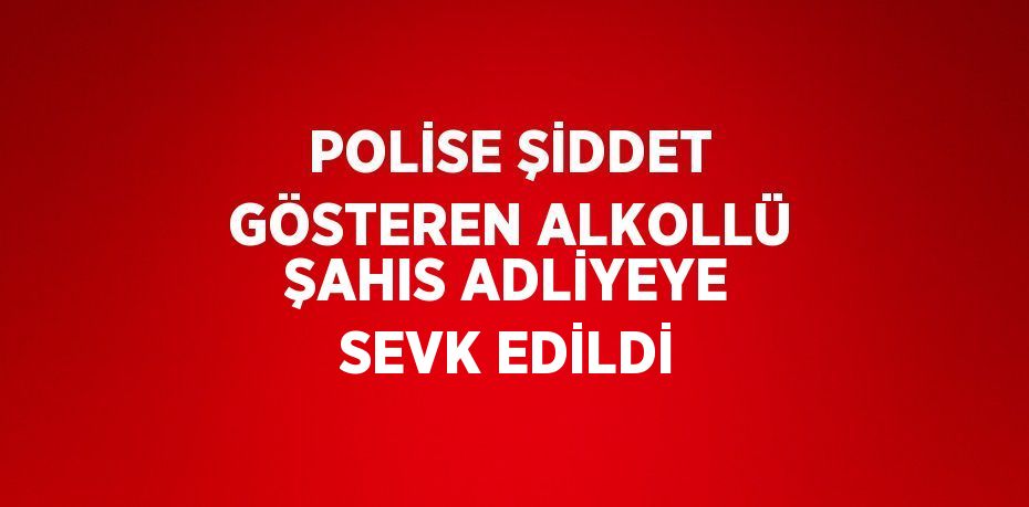 POLİSE ŞİDDET GÖSTEREN ALKOLLÜ ŞAHIS ADLİYEYE SEVK EDİLDİ