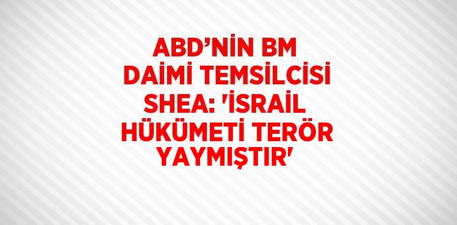 ABD’NİN BM DAİMİ TEMSİLCİSİ SHEA: 'İSRAİL HÜKÜMETİ TERÖR YAYMIŞTIR'