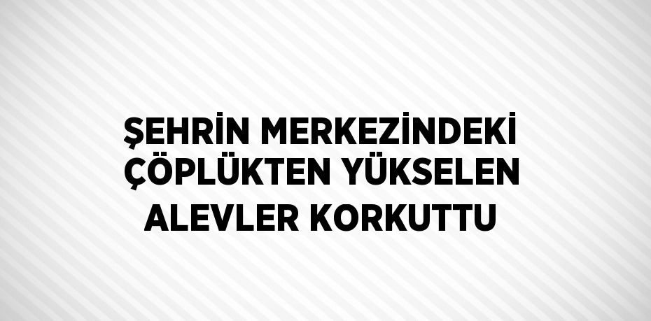 ŞEHRİN MERKEZİNDEKİ ÇÖPLÜKTEN YÜKSELEN ALEVLER KORKUTTU