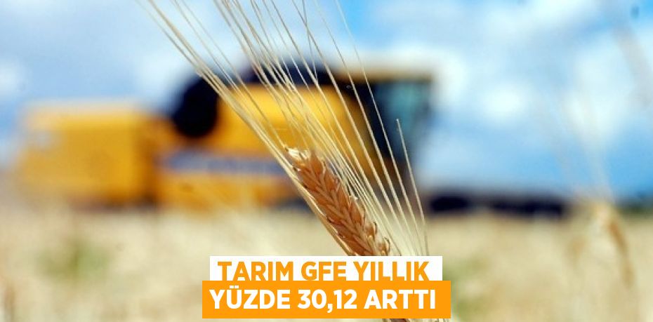 TARIM GFE YILLIK YÜZDE 30,12 ARTTI