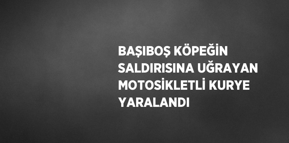 BAŞIBOŞ KÖPEĞİN SALDIRISINA UĞRAYAN MOTOSİKLETLİ KURYE YARALANDI
