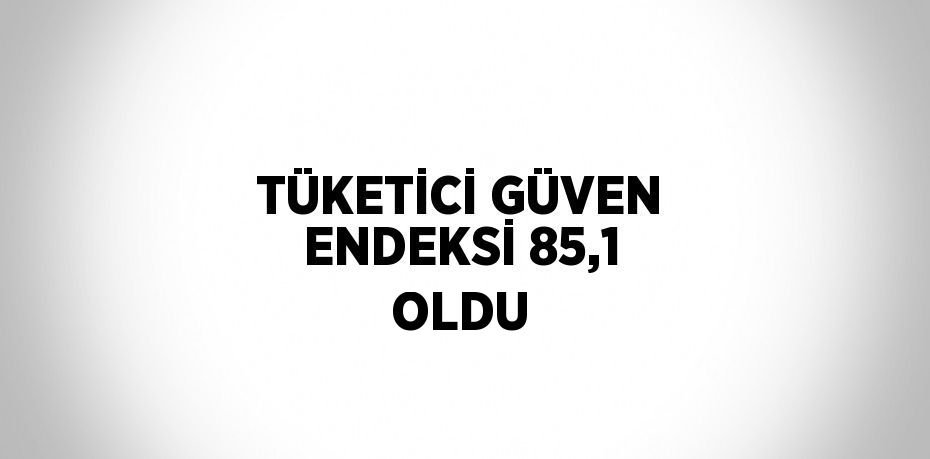 TÜKETİCİ GÜVEN ENDEKSİ 85,1 OLDU