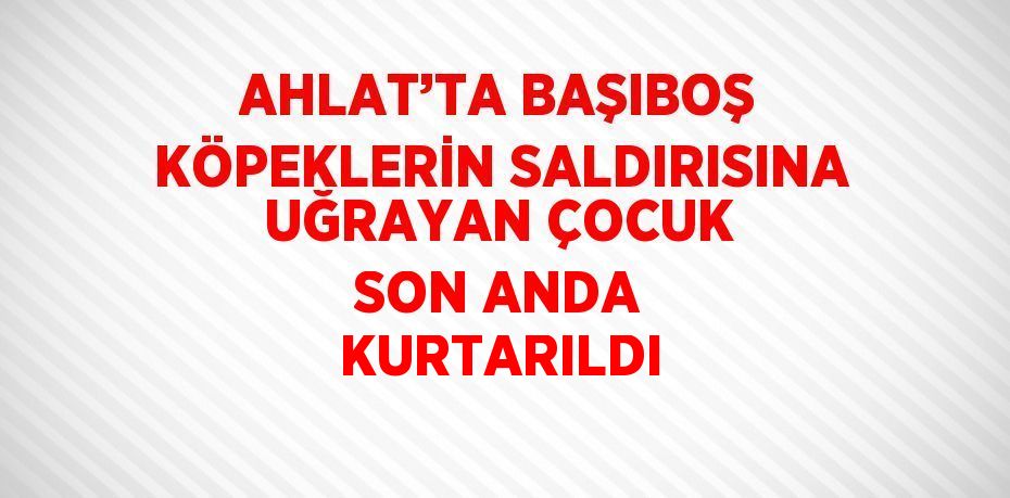 AHLAT’TA BAŞIBOŞ KÖPEKLERİN SALDIRISINA UĞRAYAN ÇOCUK SON ANDA KURTARILDI