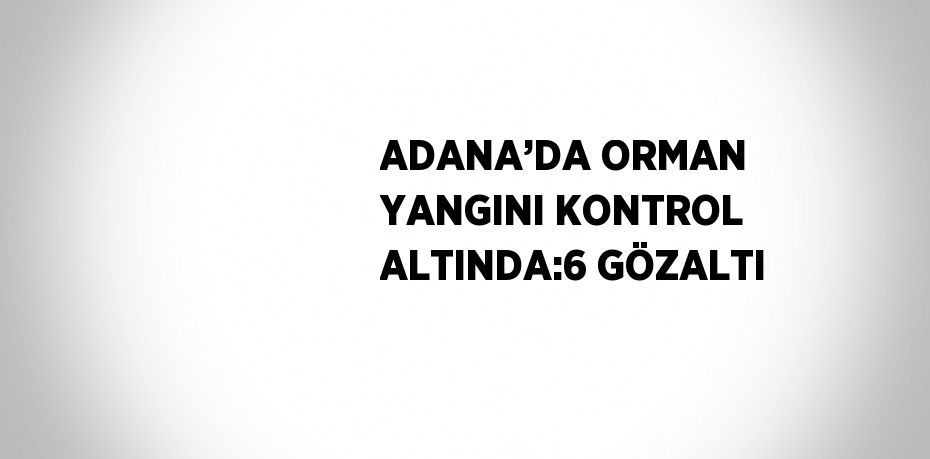 ADANA’DA ORMAN YANGINI KONTROL ALTINDA:6 GÖZALTI