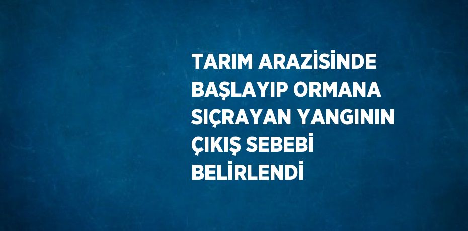 TARIM ARAZİSİNDE BAŞLAYIP ORMANA SIÇRAYAN YANGININ ÇIKIŞ SEBEBİ BELİRLENDİ