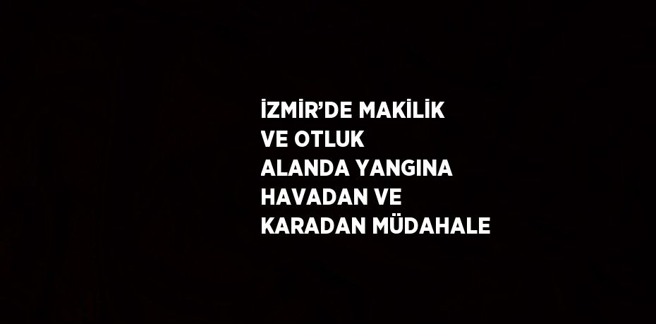 İZMİR’DE MAKİLİK VE OTLUK ALANDA YANGINA HAVADAN VE KARADAN MÜDAHALE