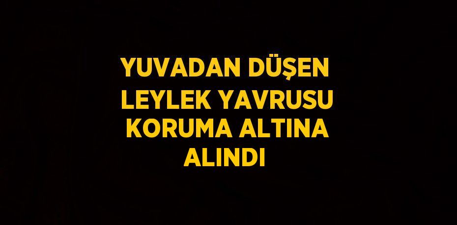 YUVADAN DÜŞEN LEYLEK YAVRUSU KORUMA ALTINA ALINDI