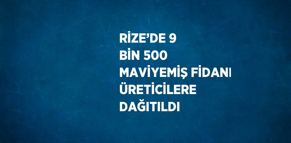 RİZE’DE 9 BİN 500 MAVİYEMİŞ FİDANI ÜRETİCİLERE DAĞITILDI