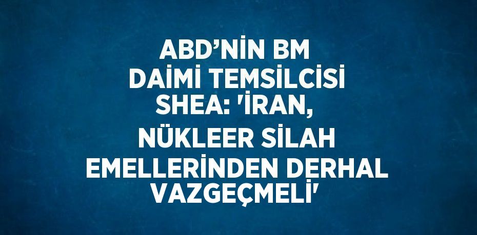 ABD’NİN BM DAİMİ TEMSİLCİSİ SHEA: 'İRAN, NÜKLEER SİLAH EMELLERİNDEN DERHAL VAZGEÇMELİ'