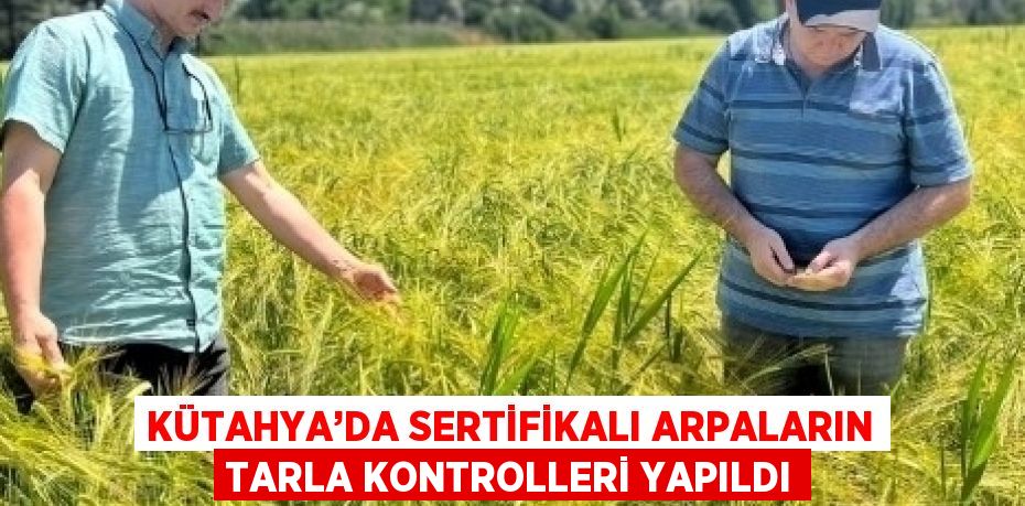 KÜTAHYA’DA SERTİFİKALI ARPALARIN TARLA KONTROLLERİ YAPILDI