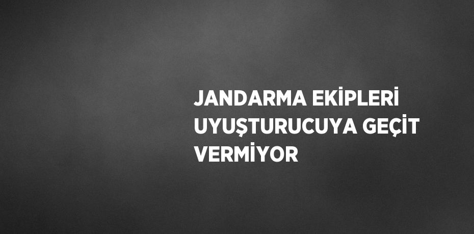 JANDARMA EKİPLERİ UYUŞTURUCUYA GEÇİT VERMİYOR