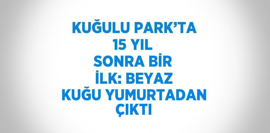 KUĞULU PARK’TA 15 YIL SONRA BİR İLK: BEYAZ KUĞU YUMURTADAN ÇIKTI