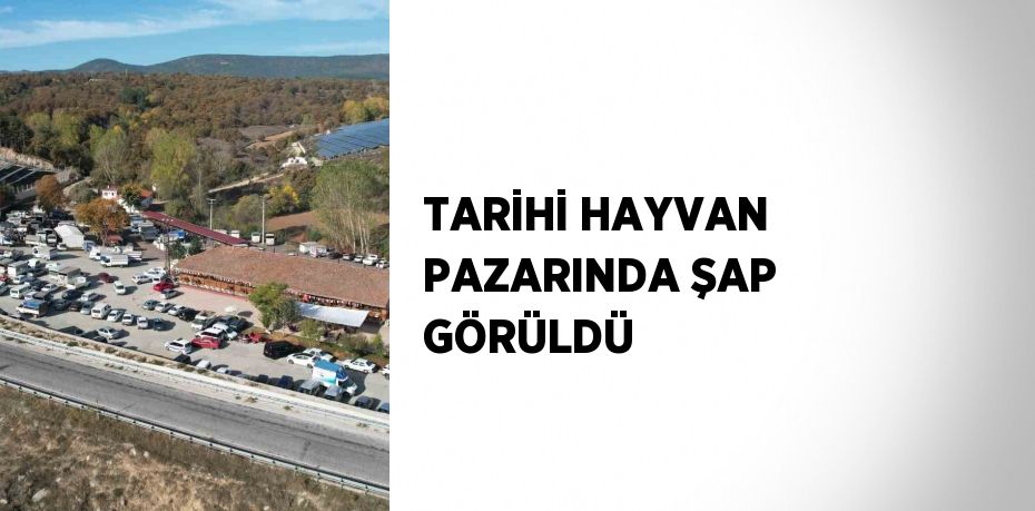 TARİHİ HAYVAN PAZARINDA ŞAP GÖRÜLDÜ
