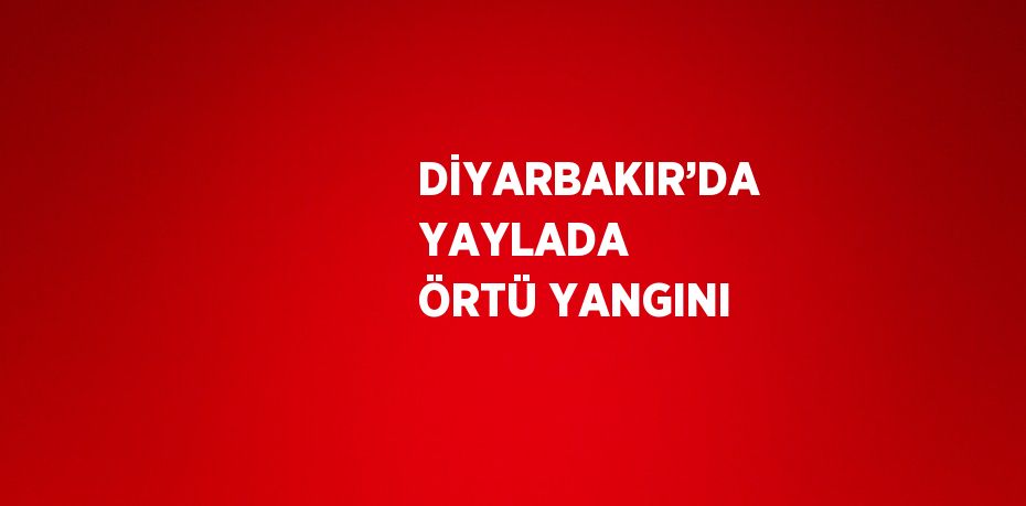 DİYARBAKIR’DA YAYLADA ÖRTÜ YANGINI