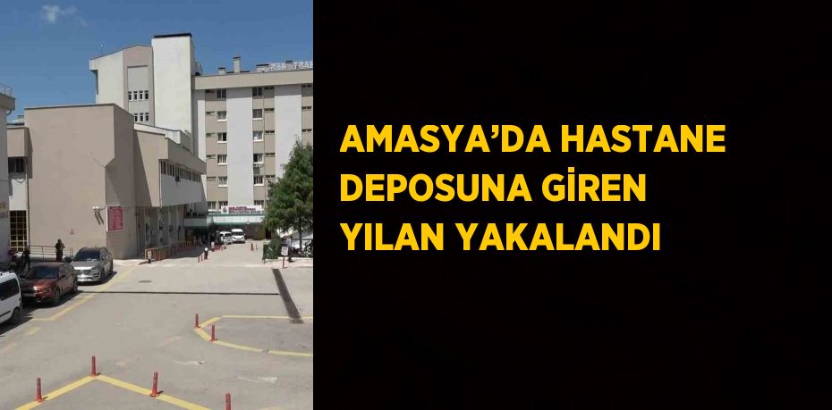 AMASYA’DA HASTANE DEPOSUNA GİREN YILAN YAKALANDI