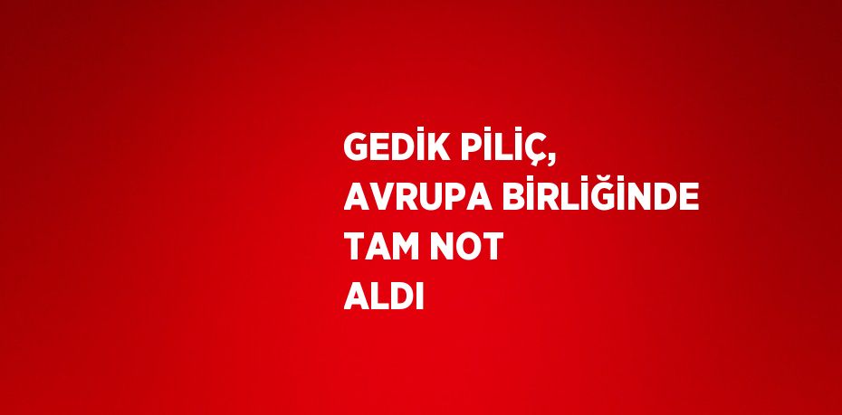 GEDİK PİLİÇ, AVRUPA BİRLİĞİNDE TAM NOT ALDI