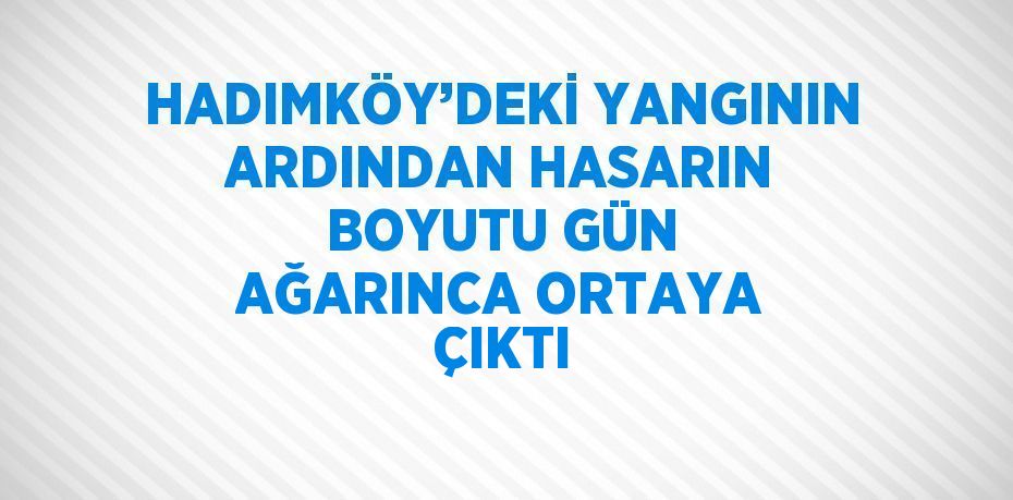 HADIMKÖY’DEKİ YANGININ ARDINDAN HASARIN BOYUTU GÜN AĞARINCA ORTAYA ÇIKTI