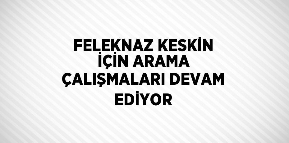 FELEKNAZ KESKİN İÇİN ARAMA ÇALIŞMALARI DEVAM EDİYOR