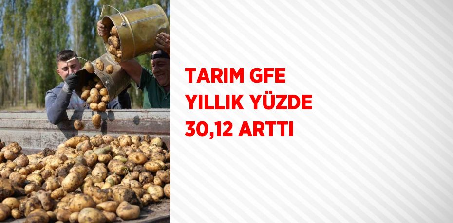 TARIM GFE YILLIK YÜZDE 30,12 ARTTI