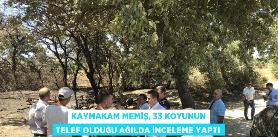 KAYMAKAM MEMİŞ, 33 KOYUNUN TELEF OLDUĞU AĞILDA İNCELEME YAPTI