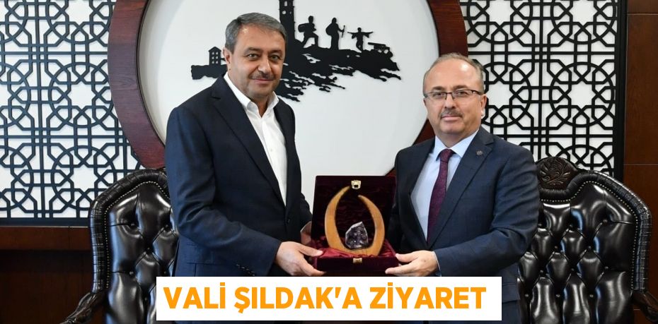 VALİ ŞILDAK'A ZİYARET