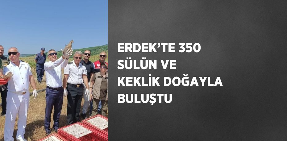 ERDEK’TE 350 SÜLÜN VE KEKLİK DOĞAYLA BULUŞTU