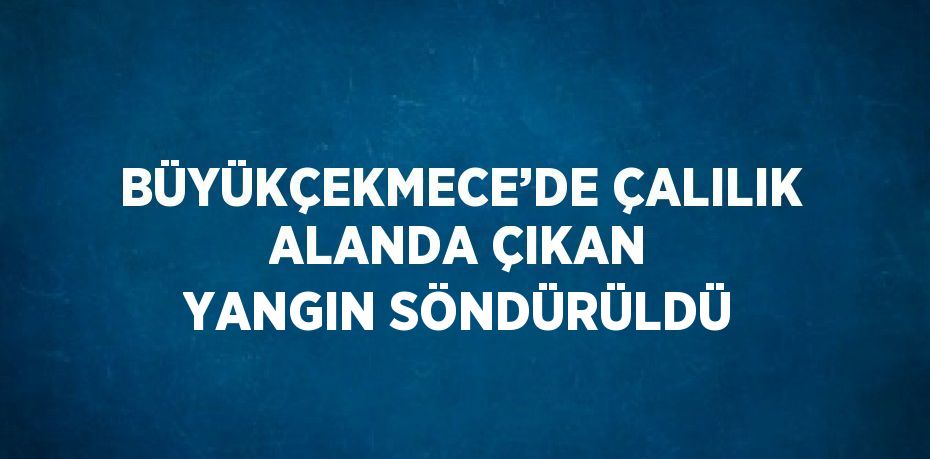 BÜYÜKÇEKMECE’DE ÇALILIK ALANDA ÇIKAN YANGIN SÖNDÜRÜLDÜ