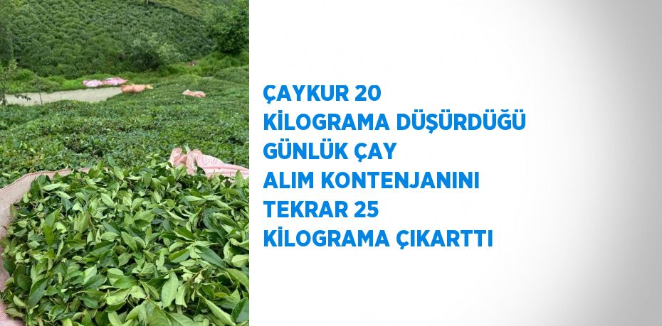 ÇAYKUR 20 KİLOGRAMA DÜŞÜRDÜĞÜ GÜNLÜK ÇAY ALIM KONTENJANINI TEKRAR 25 KİLOGRAMA ÇIKARTTI