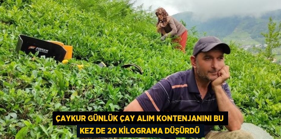 ÇAYKUR GÜNLÜK ÇAY ALIM KONTENJANINI BU KEZ DE 20 KİLOGRAMA DÜŞÜRDÜ