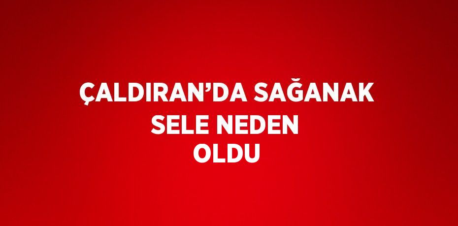 ÇALDIRAN’DA SAĞANAK SELE NEDEN OLDU