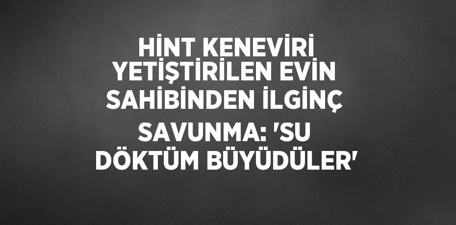 HİNT KENEVİRİ YETİŞTİRİLEN EVİN SAHİBİNDEN İLGİNÇ SAVUNMA: 'SU DÖKTÜM BÜYÜDÜLER'