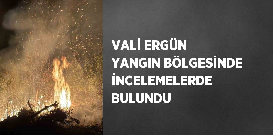 VALİ ERGÜN YANGIN BÖLGESİNDE İNCELEMELERDE BULUNDU