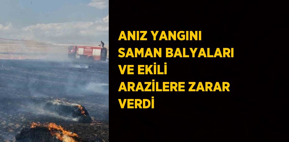 ANIZ YANGINI SAMAN BALYALARI VE EKİLİ ARAZİLERE ZARAR VERDİ