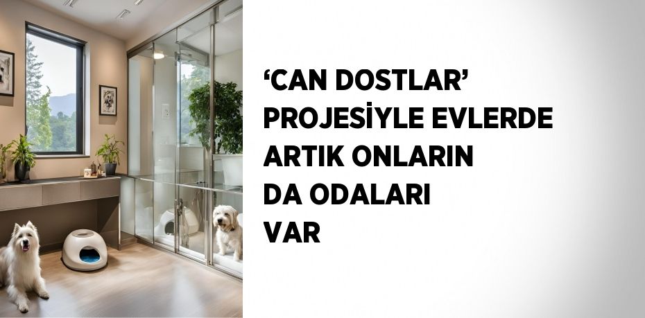 ‘CAN DOSTLAR’ PROJESİYLE EVLERDE ARTIK ONLARIN DA ODALARI VAR