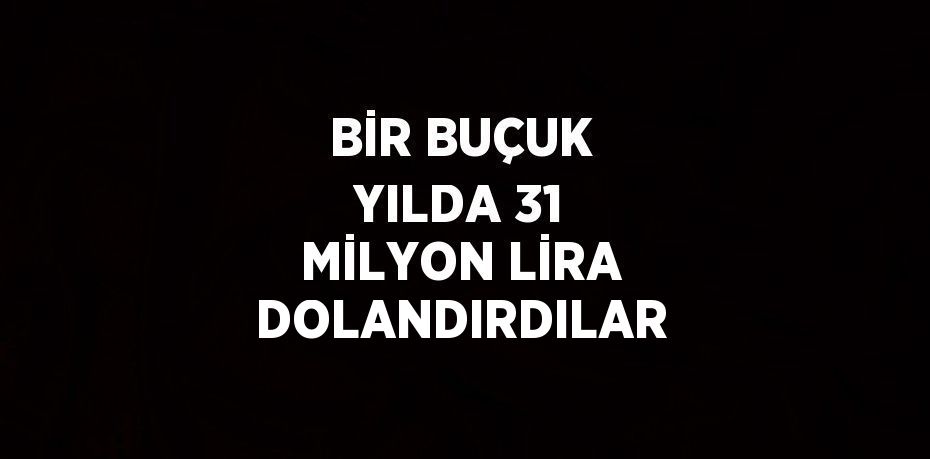 BİR BUÇUK YILDA 31 MİLYON LİRA DOLANDIRDILAR