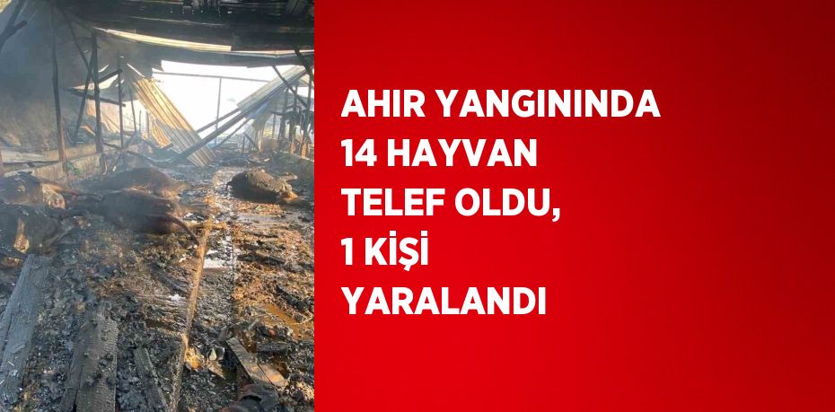 AHIR YANGININDA 14 HAYVAN TELEF OLDU, 1 KİŞİ YARALANDI