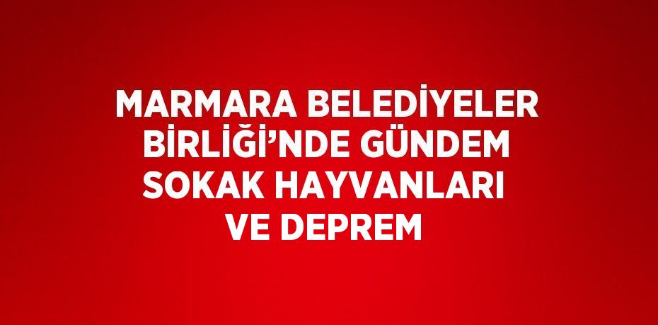 MARMARA BELEDİYELER BİRLİĞİ’NDE GÜNDEM SOKAK HAYVANLARI VE DEPREM