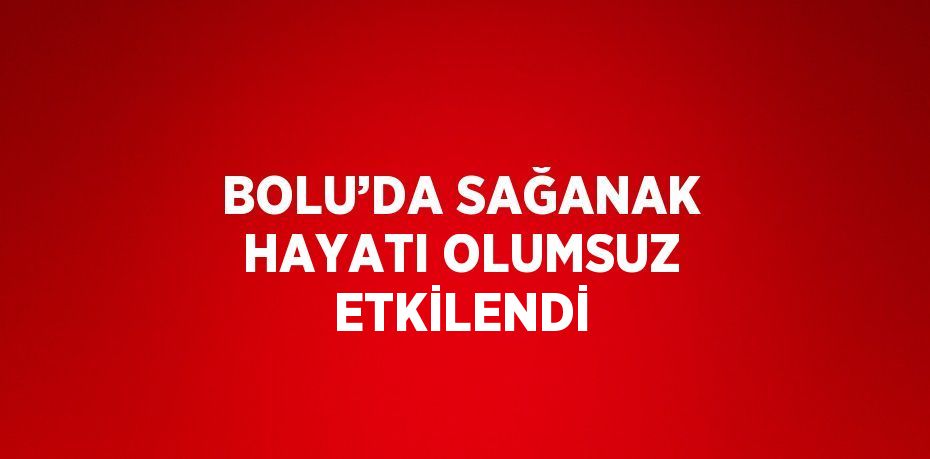 BOLU’DA SAĞANAK HAYATI OLUMSUZ ETKİLENDİ