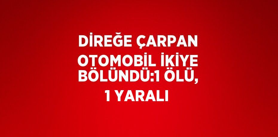 DİREĞE ÇARPAN OTOMOBİL İKİYE BÖLÜNDÜ:1 ÖLÜ, 1 YARALI