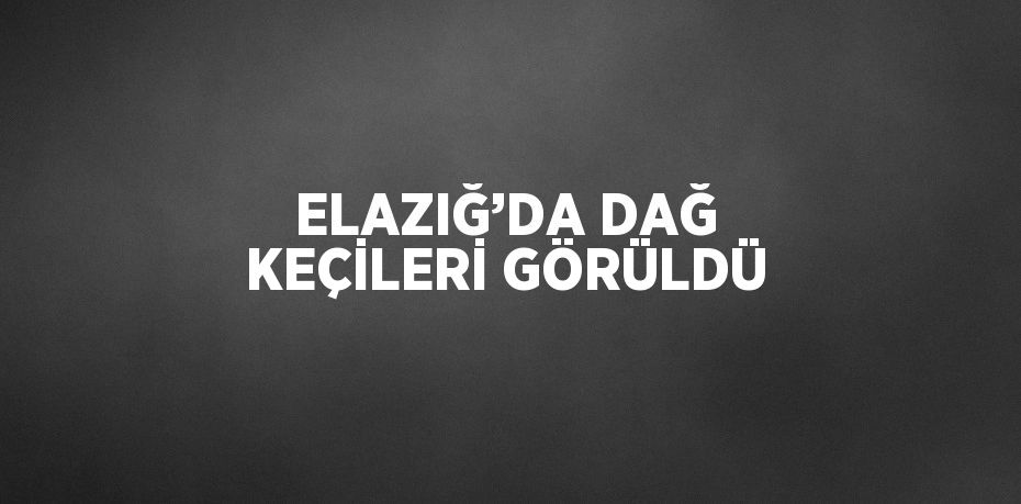 ELAZIĞ’DA DAĞ KEÇİLERİ GÖRÜLDÜ