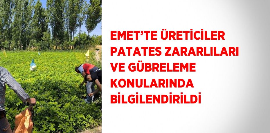 EMET’TE ÜRETİCİLER PATATES ZARARLILARI VE GÜBRELEME KONULARINDA BİLGİLENDİRİLDİ