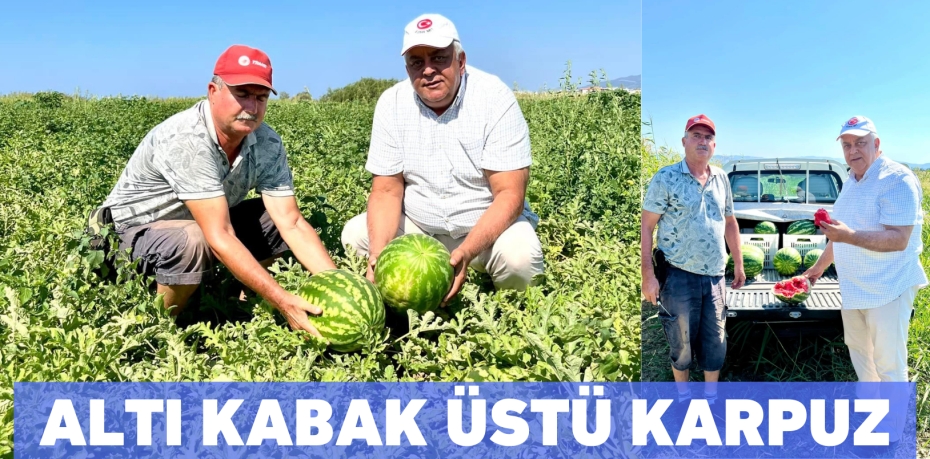 ALTI KABAK ÜSTÜ KARPUZ