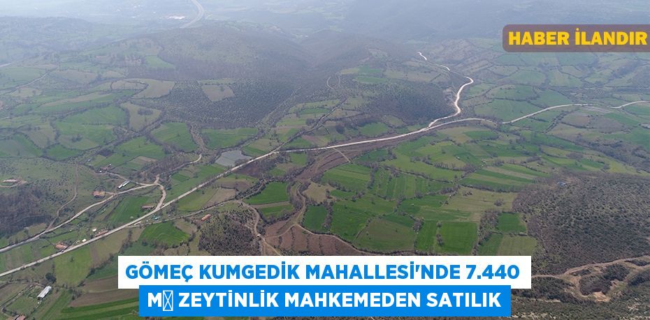 Gömeç Kumgedik Mahallesi'nde 7.440 m² zeytinlik mahkemeden satılık