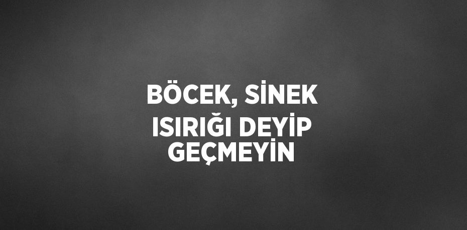 BÖCEK, SİNEK ISIRIĞI DEYİP GEÇMEYİN