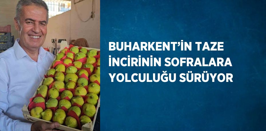 BUHARKENT’İN TAZE İNCİRİNİN SOFRALARA YOLCULUĞU SÜRÜYOR